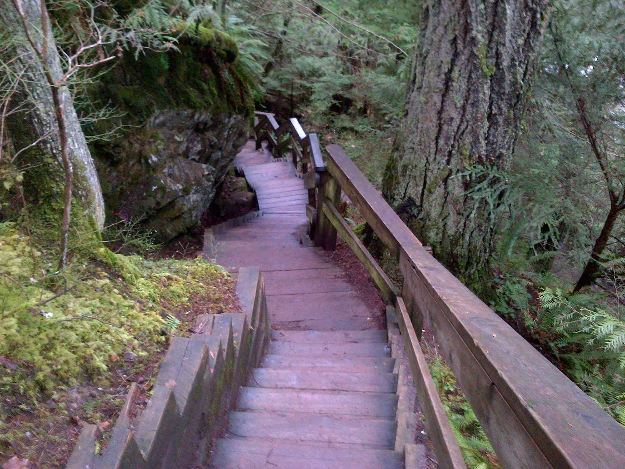 Treppe des Baden-Powell Trail an der Lynn Canyon Suspension Bridge.