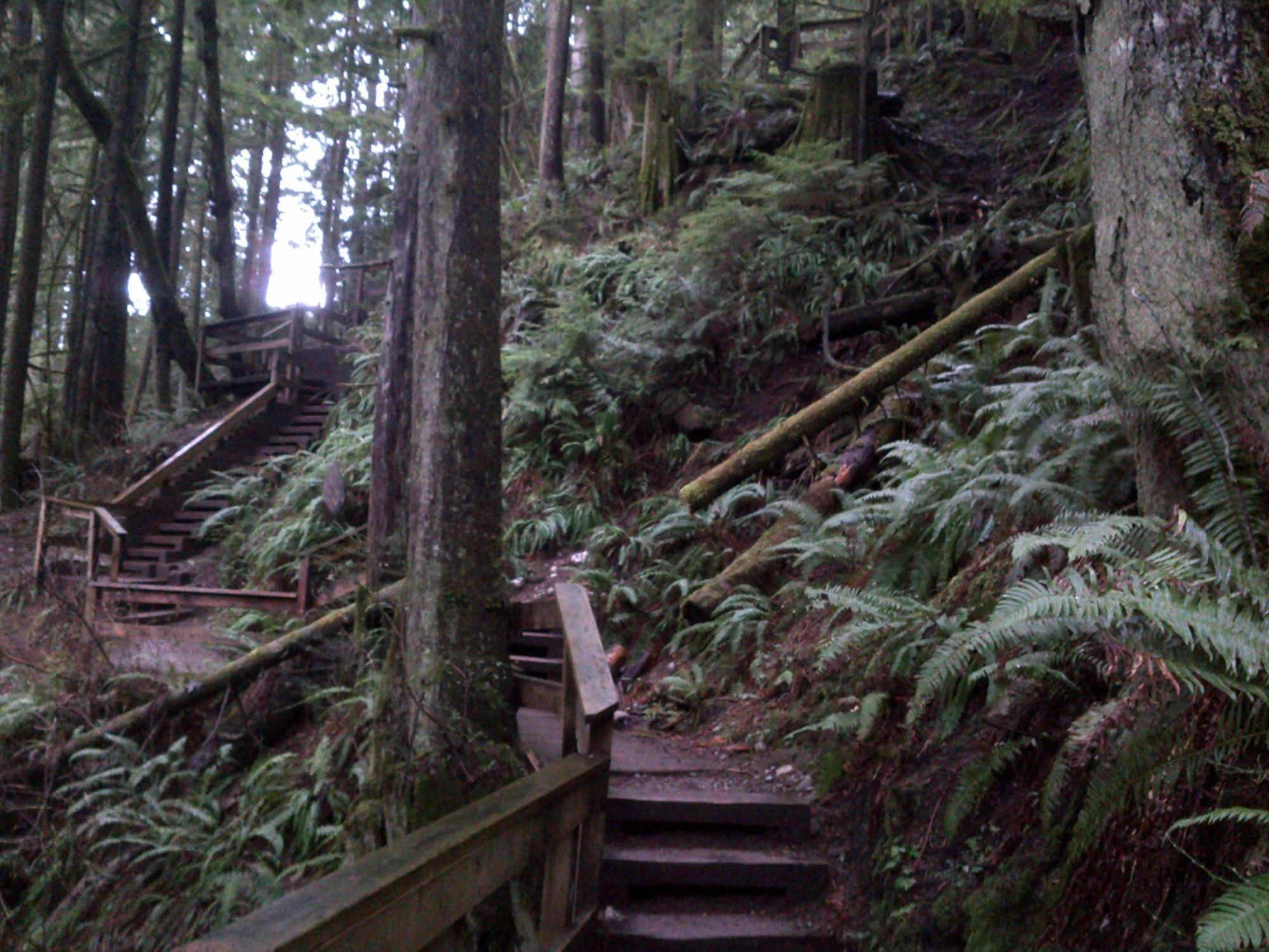 Treppe des Baden-Powell Trail beim Lynn Headwaters Overflow. 