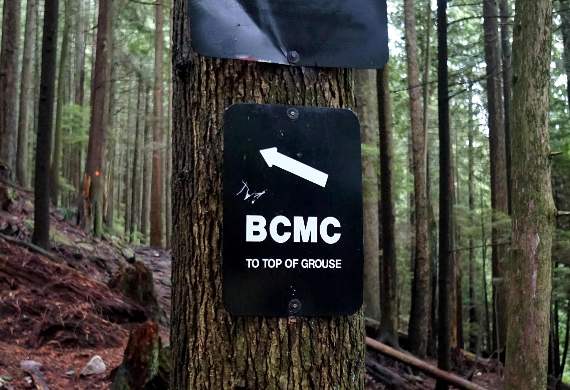 Der Einstieg zum BCMC-Trail am Grouse Mountain.