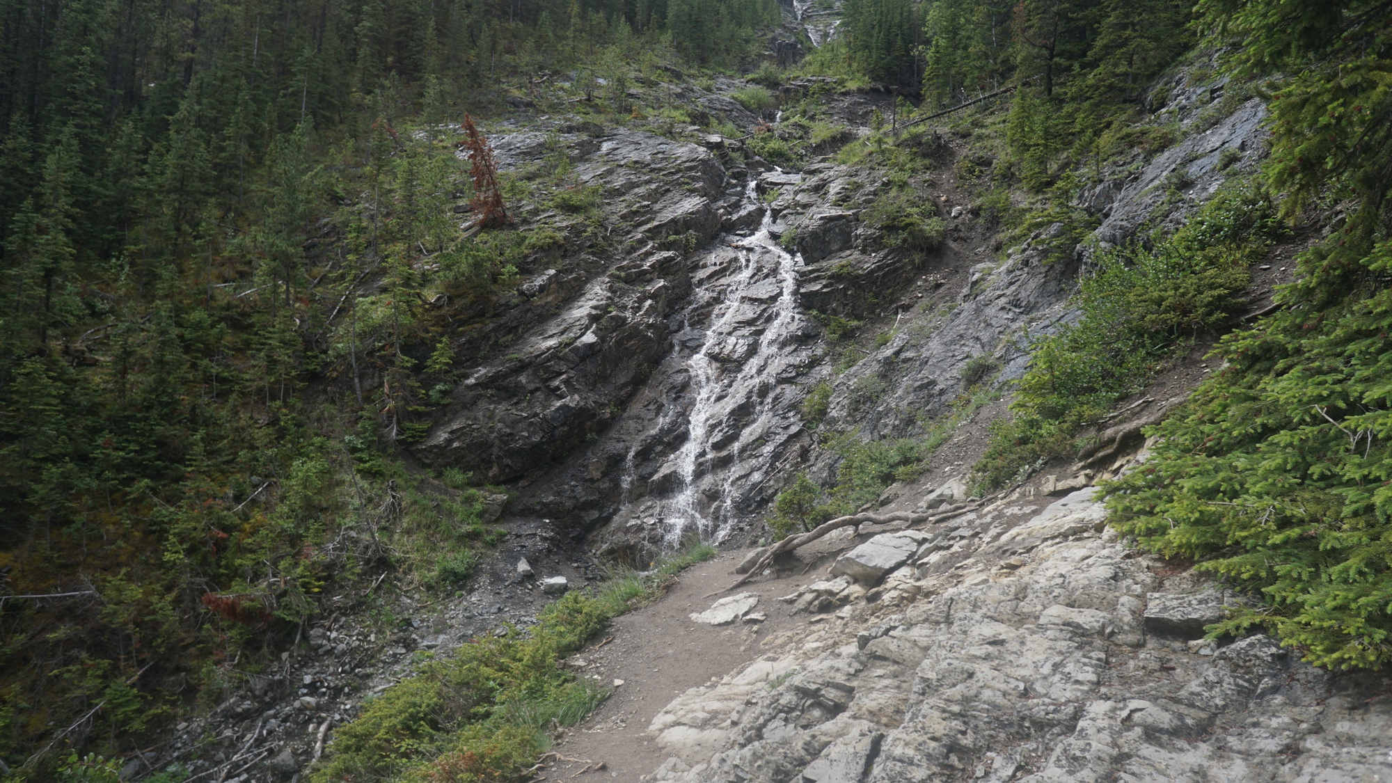 Ein Wasserfall am Sulphur Mountain Trail.